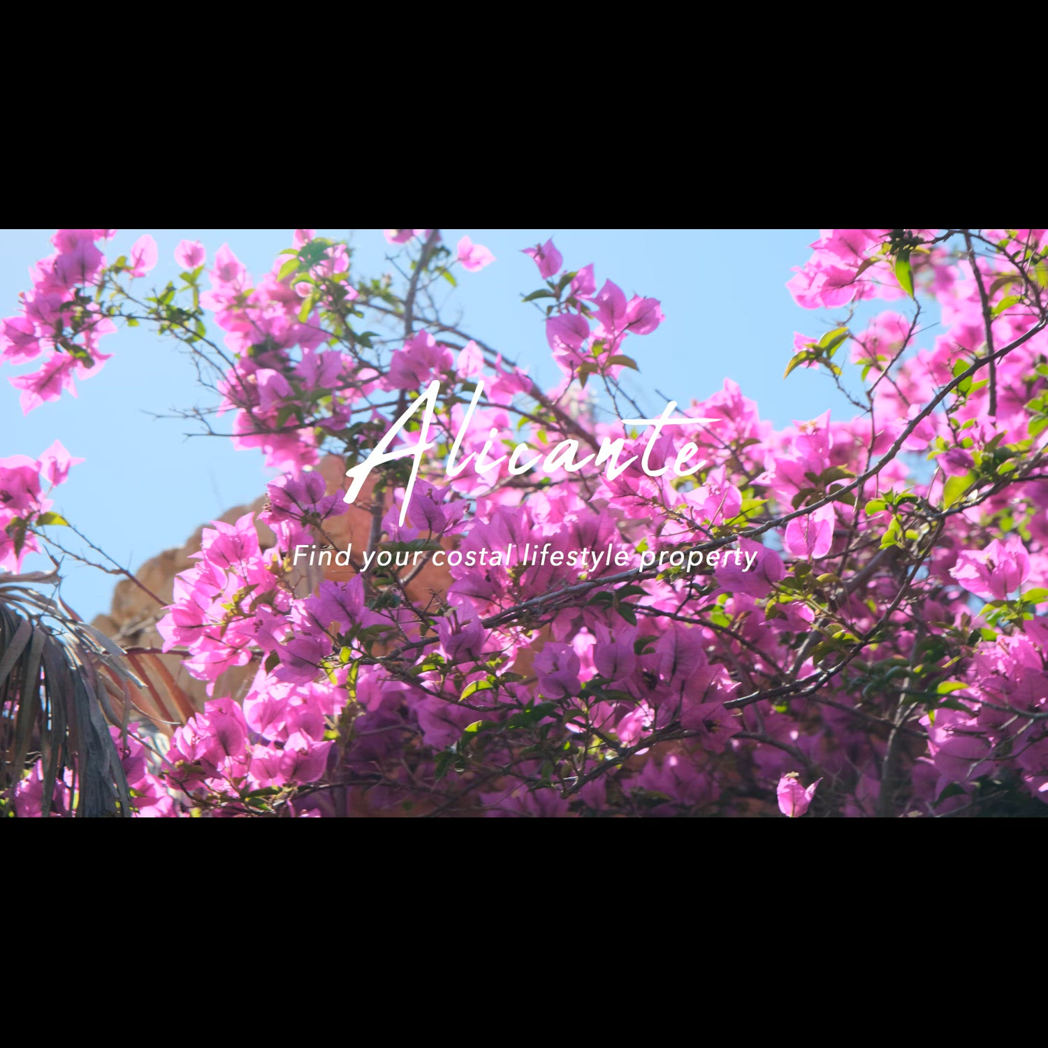 Agency video thumbnail