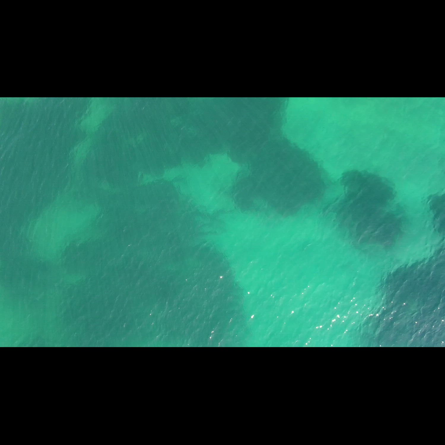 Agency video thumbnail