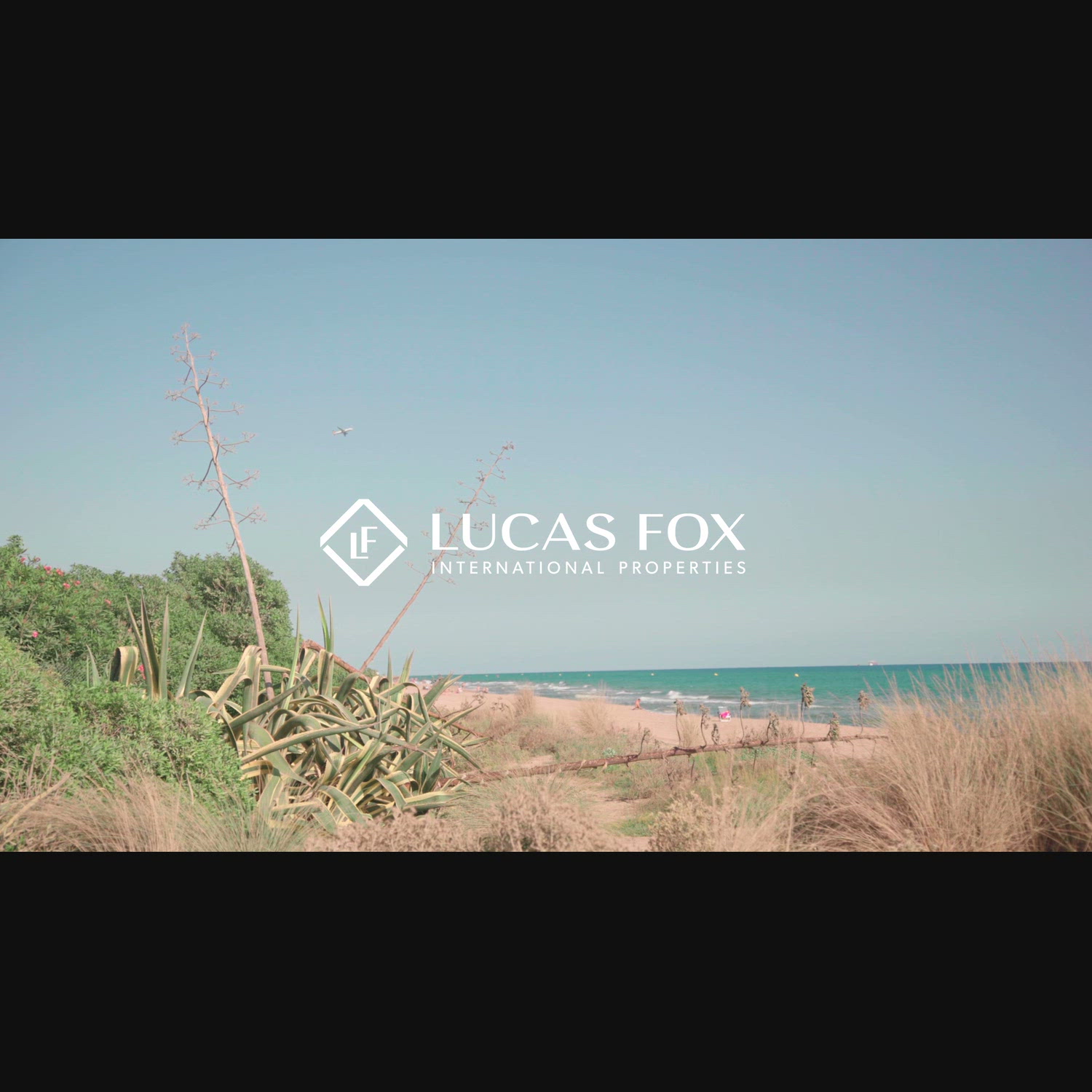 Agency video thumbnail