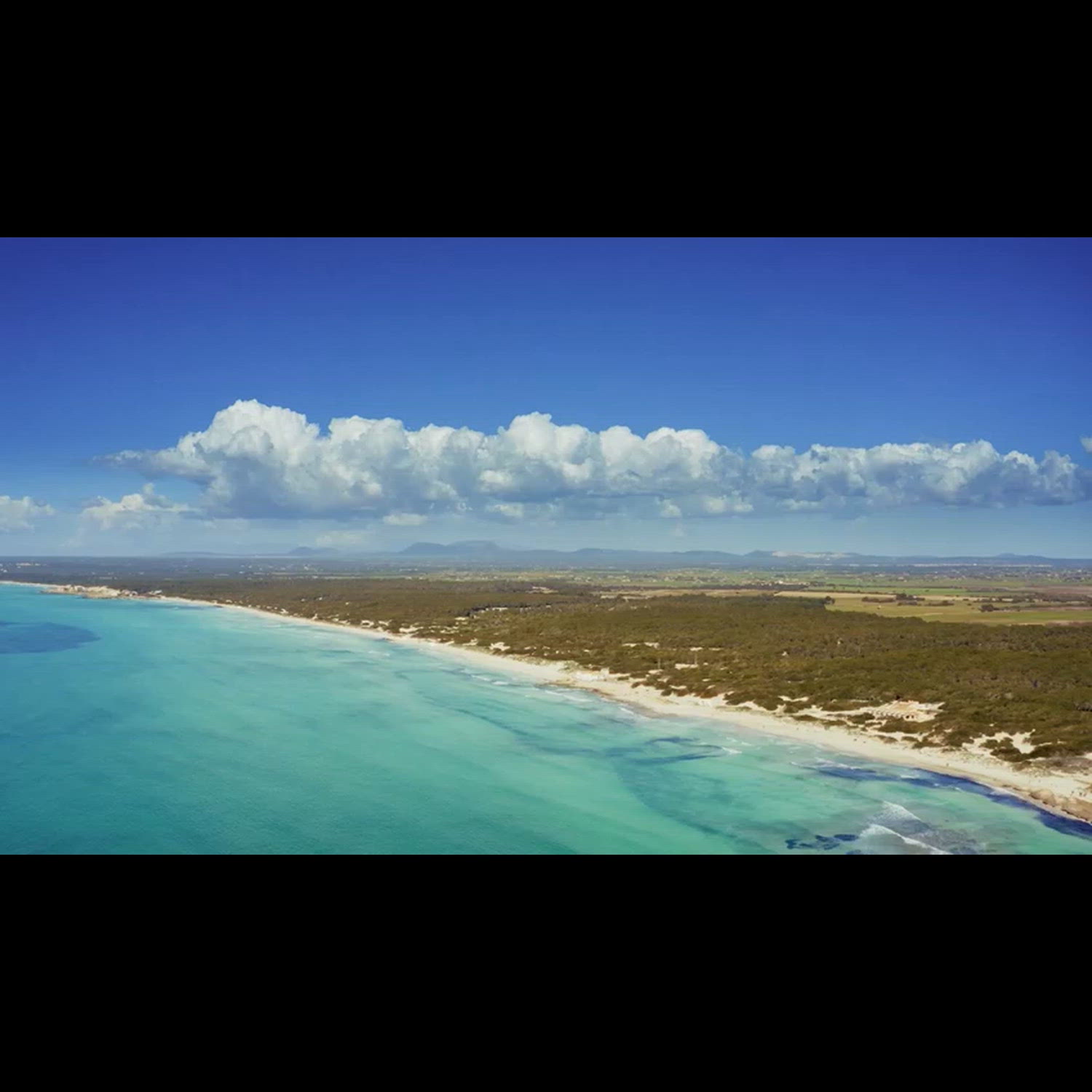 Agency video thumbnail