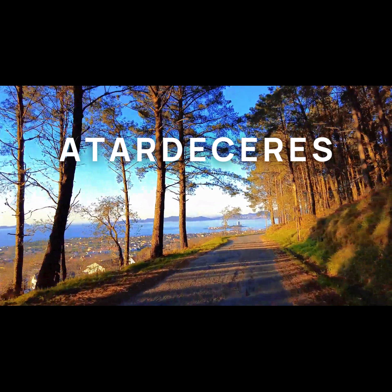 Agency video thumbnail