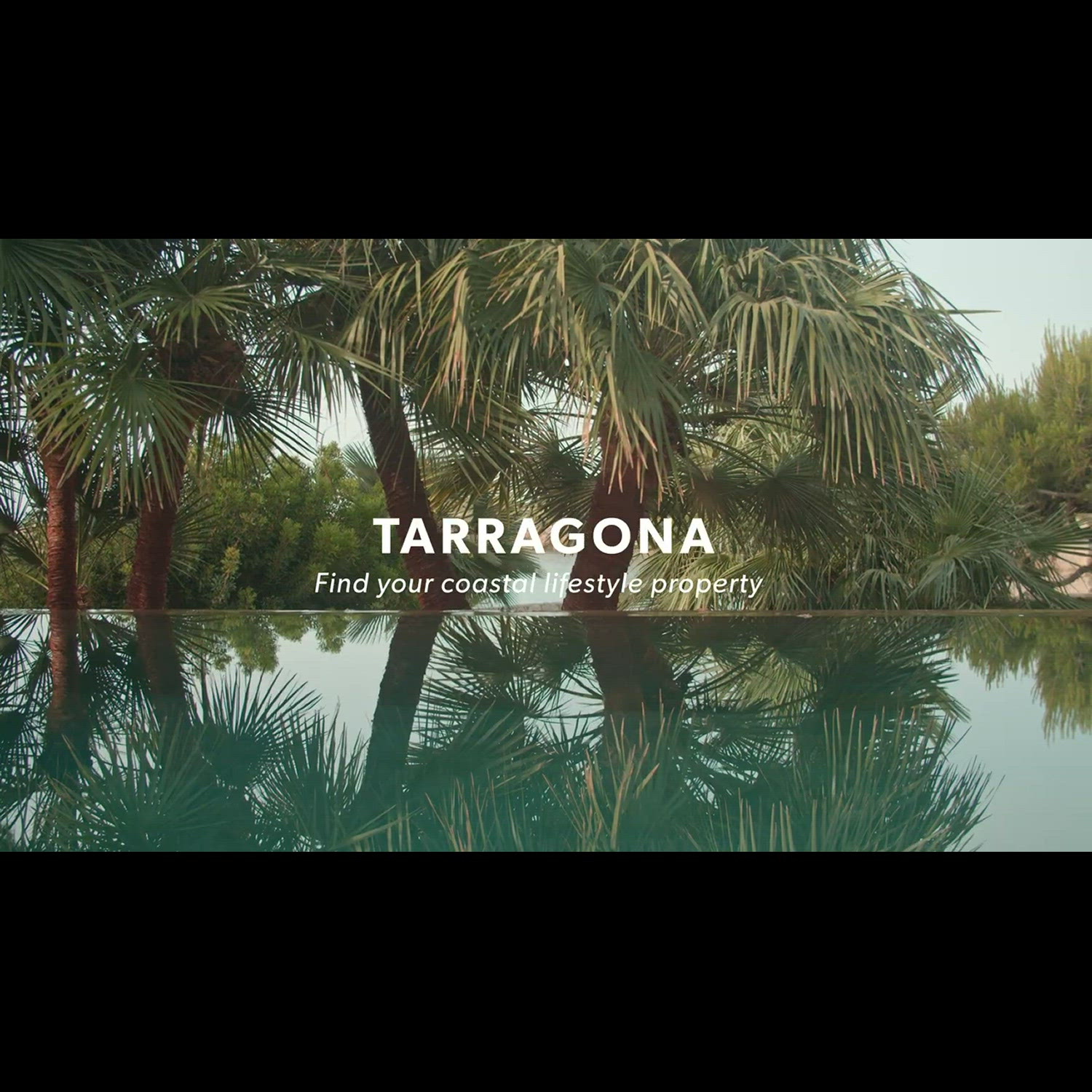 Agency video thumbnail