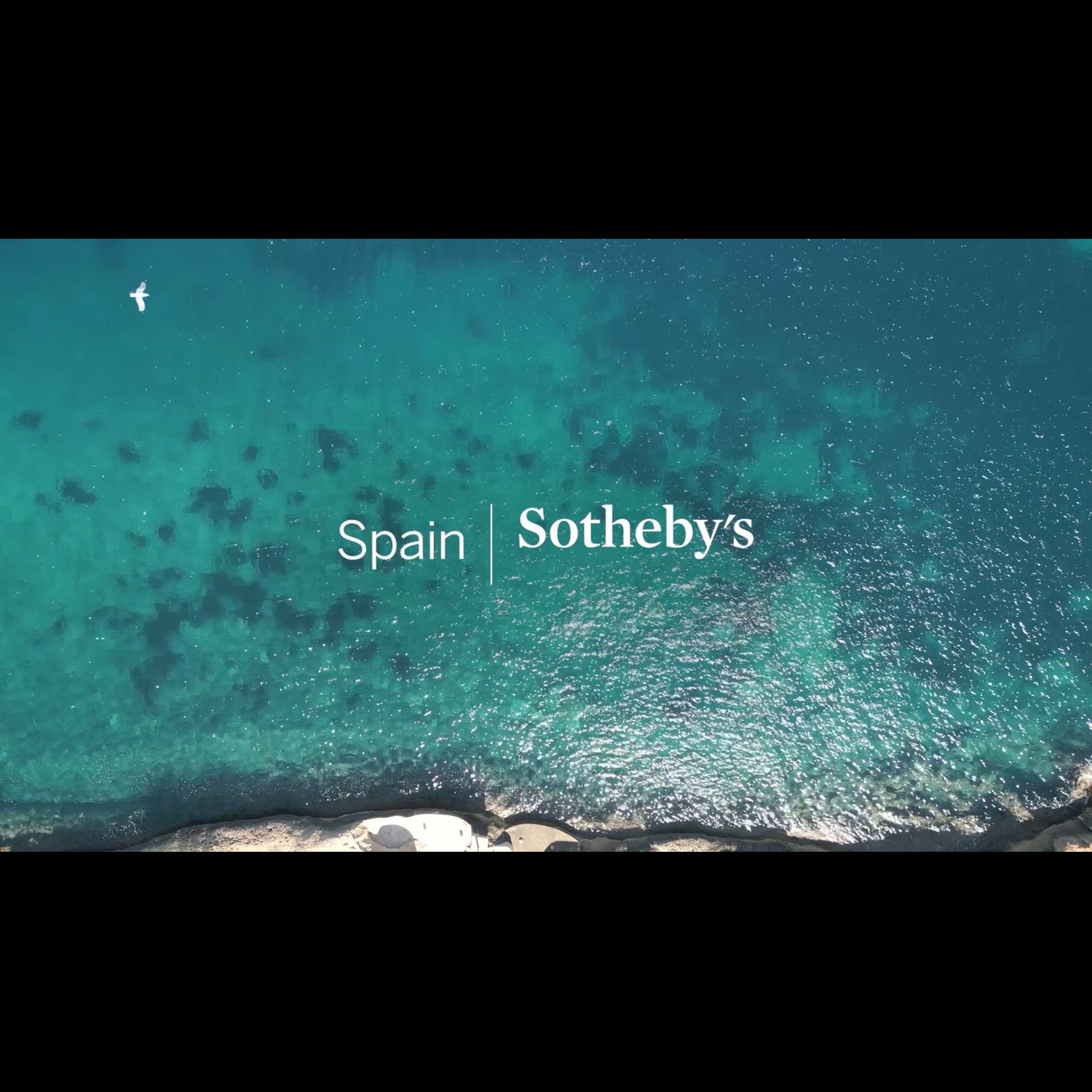Agency video thumbnail