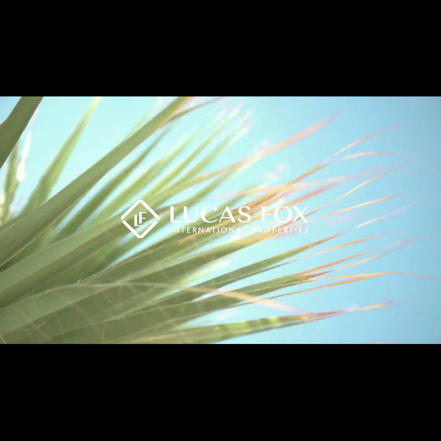 Agency video thumbnail