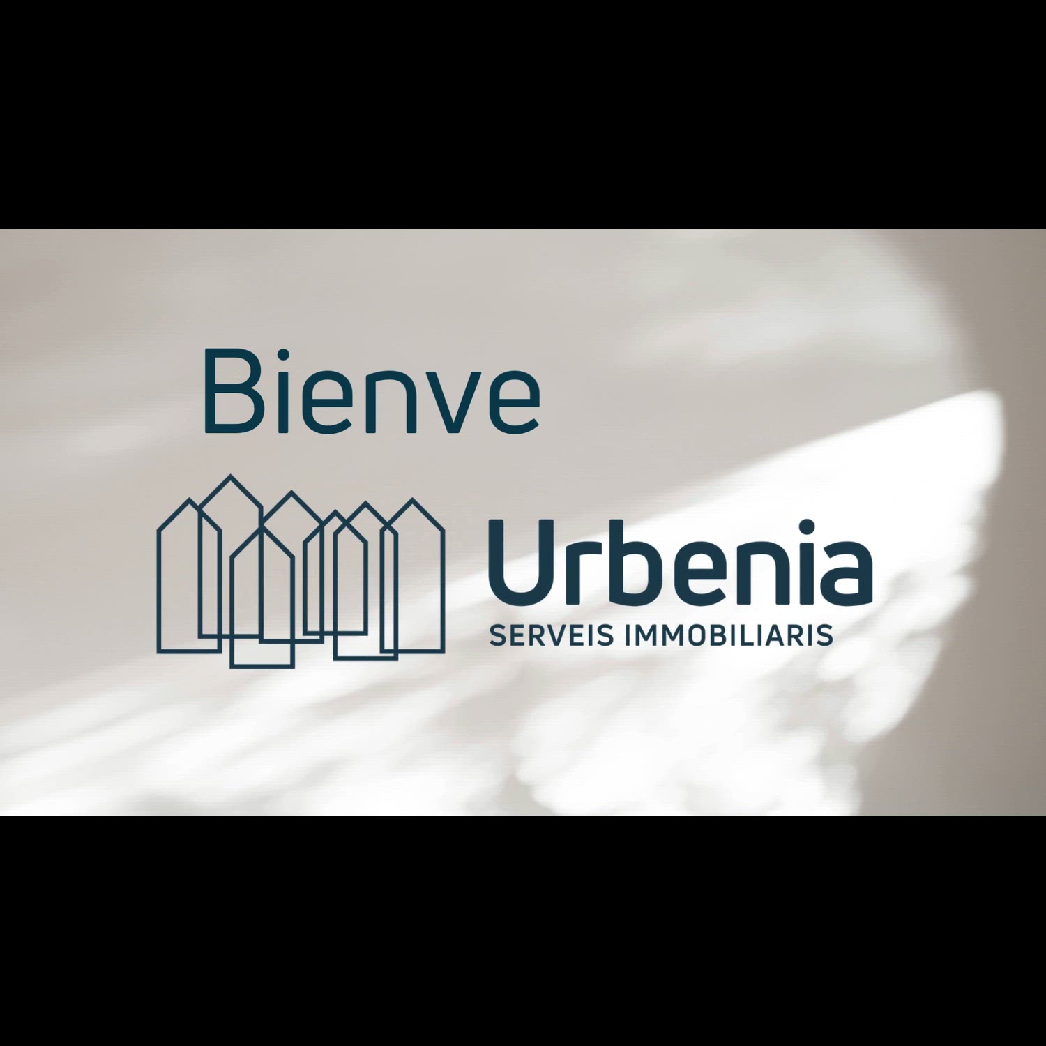 Agency video thumbnail