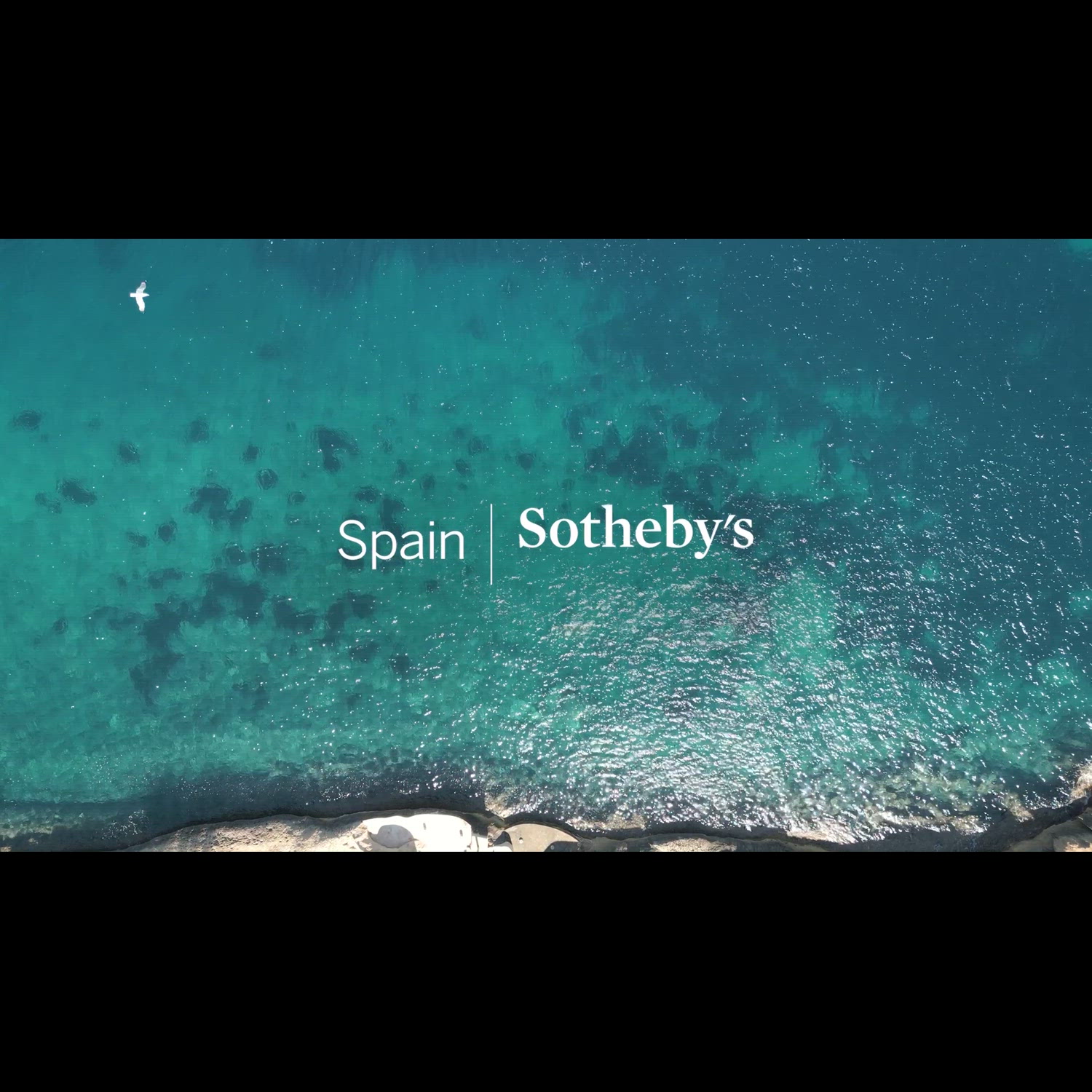 Agency video thumbnail