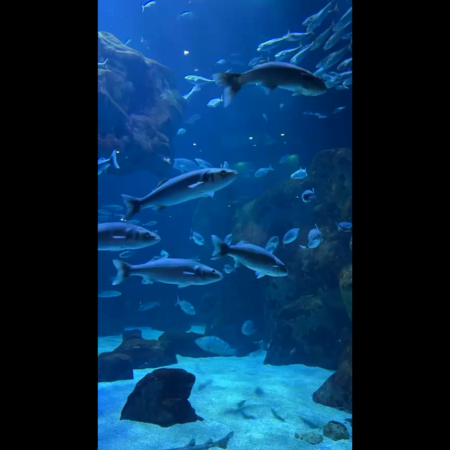 Agency video thumbnail