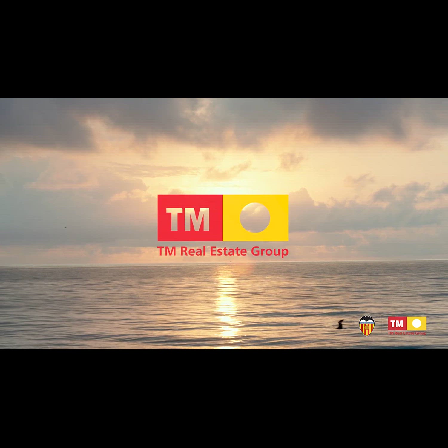 Agency video thumbnail