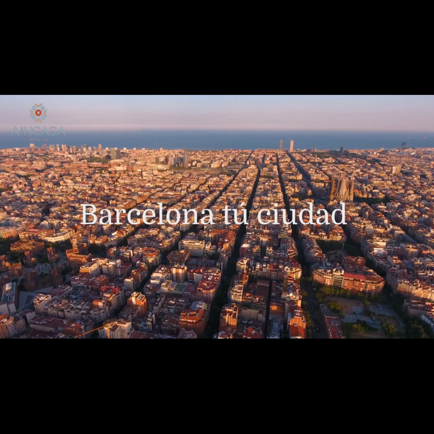 Agency video thumbnail