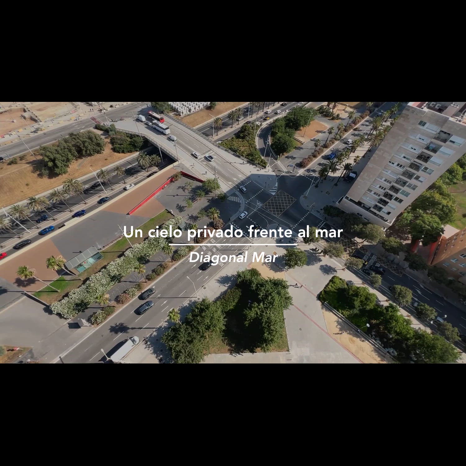Agency video thumbnail