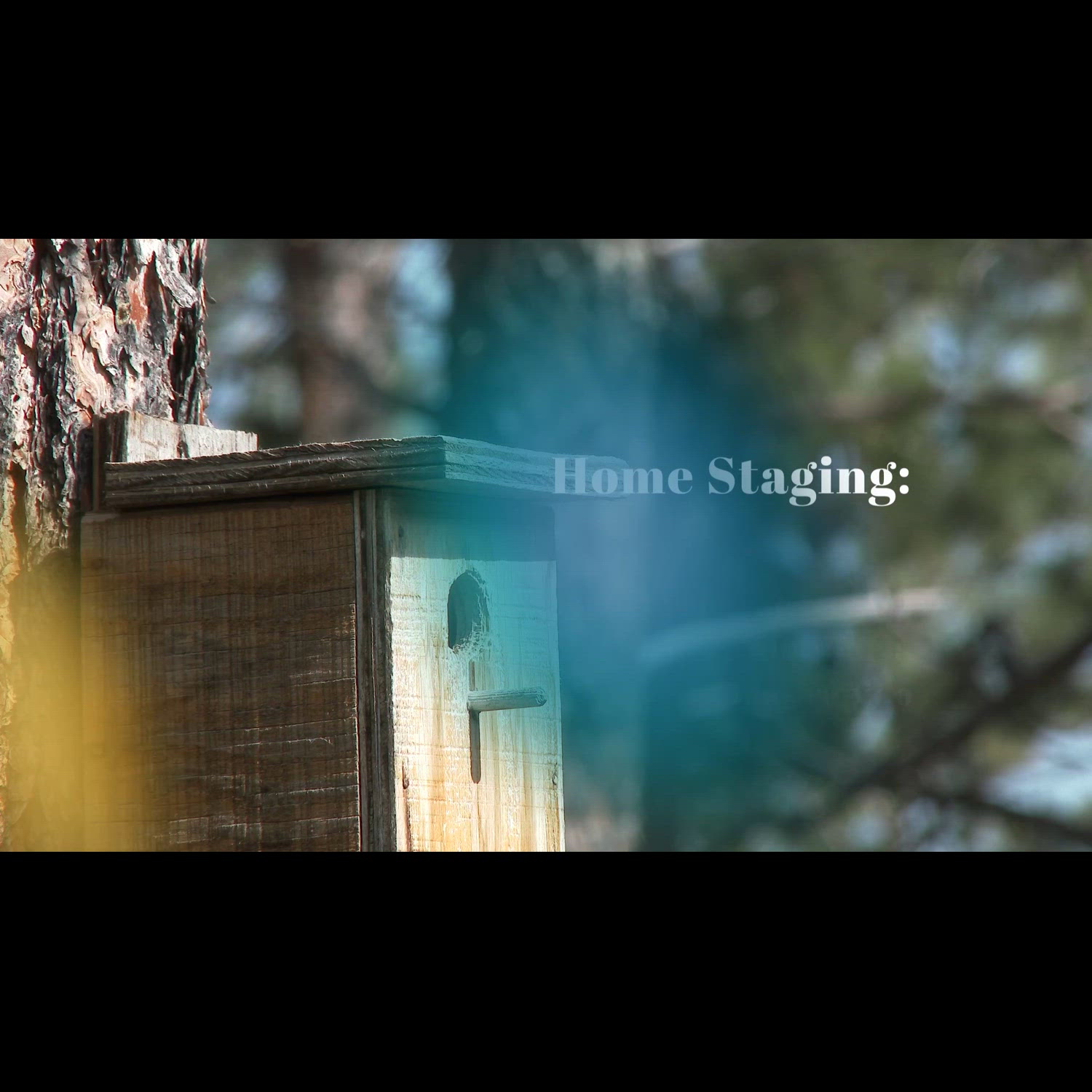 Agency video thumbnail