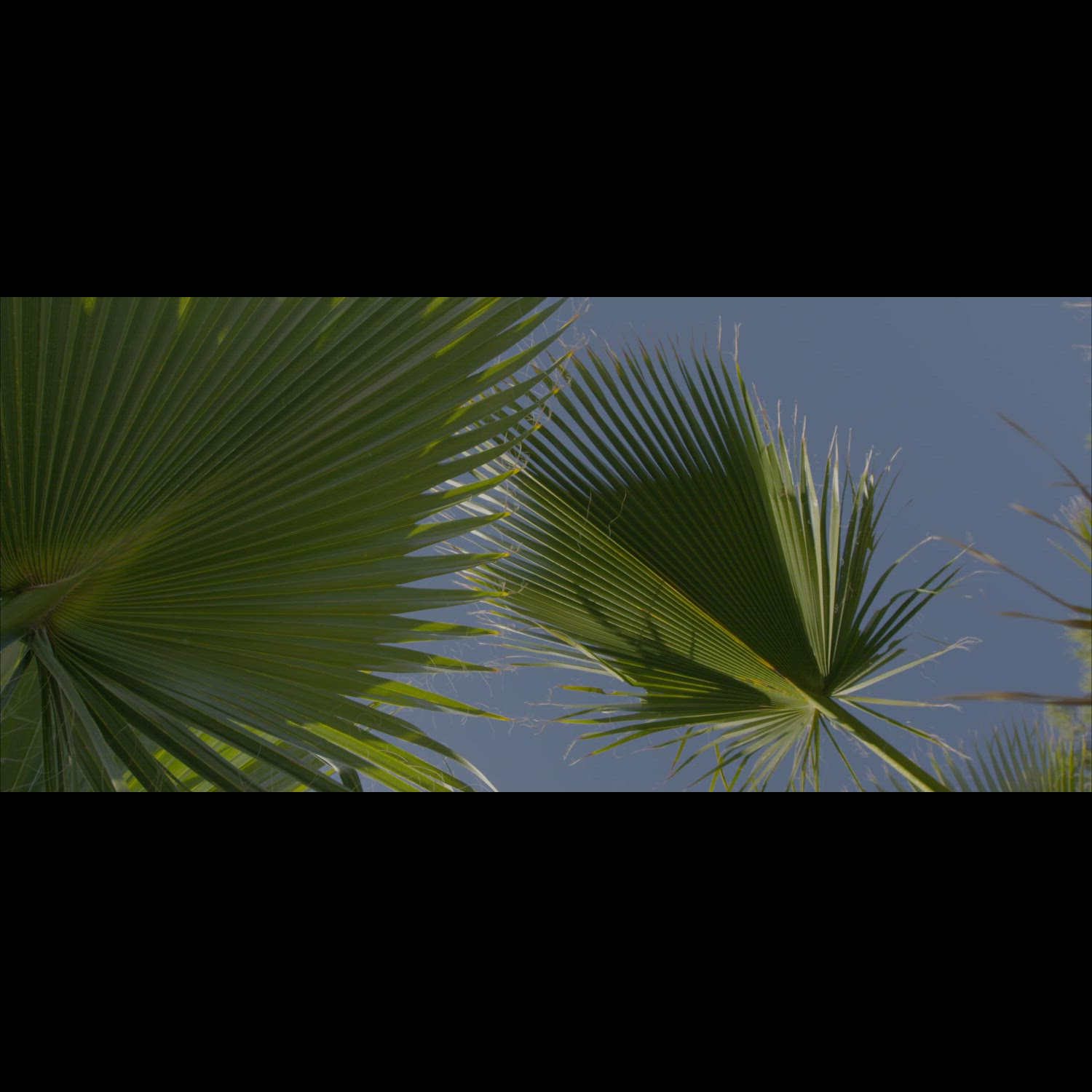 Agency video thumbnail