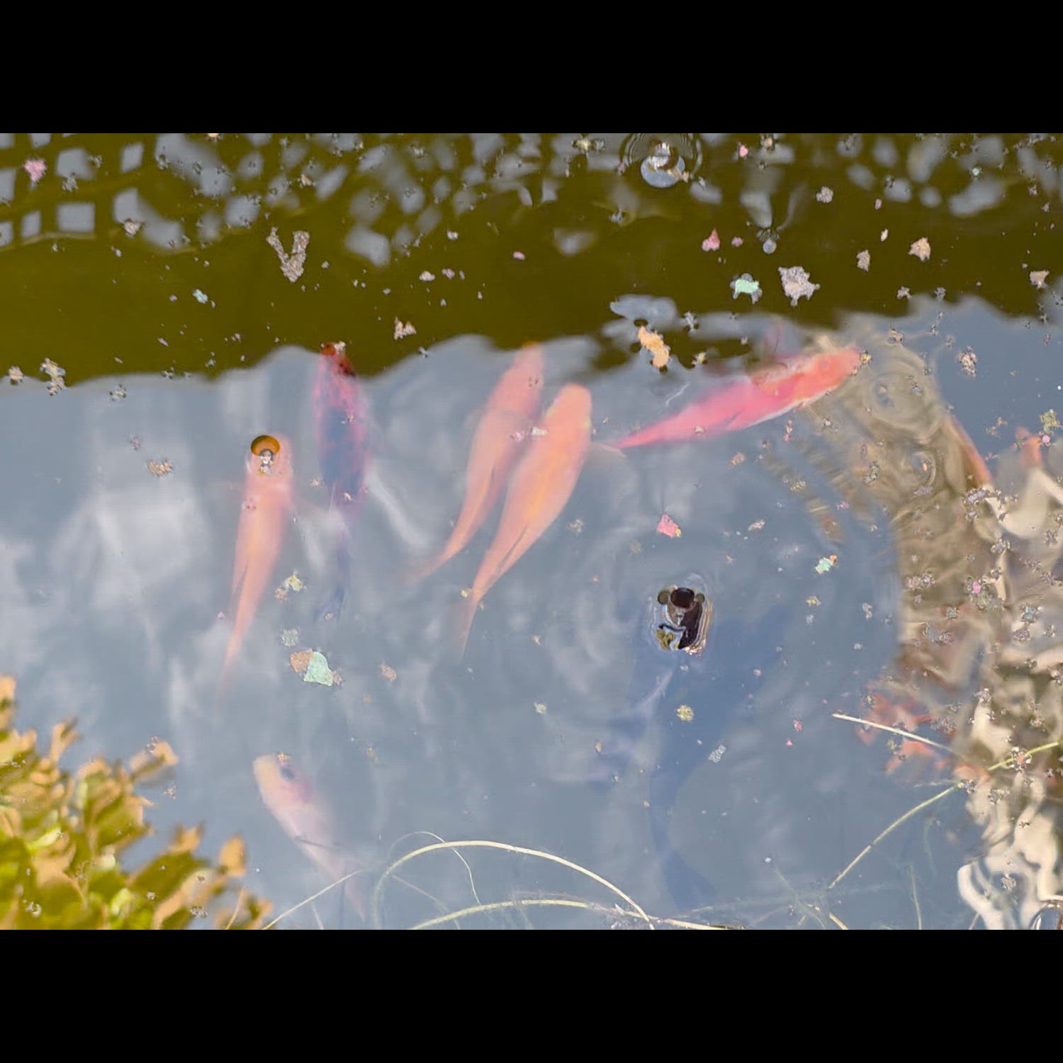 Agency video thumbnail